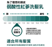 將圖片載入圖庫檢視器 超值優惠-THE LOEL 韓國紅蔘摩洛哥堅果油洗髮乳 500ml -(滋潤型) 2入組 / Red Ginseng &amp; Argan Premium Shampoo 500ml
